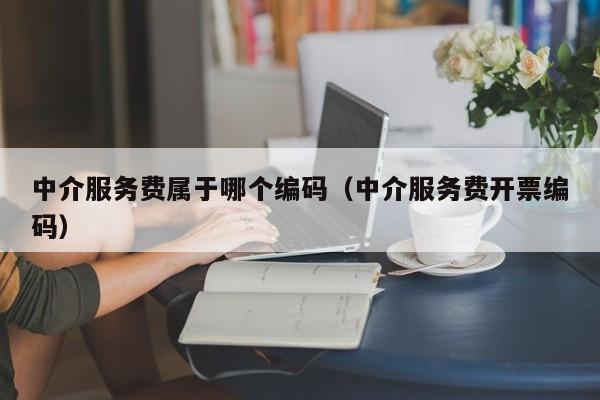 中介服务费属于哪个编码（中介服务费开票编码）