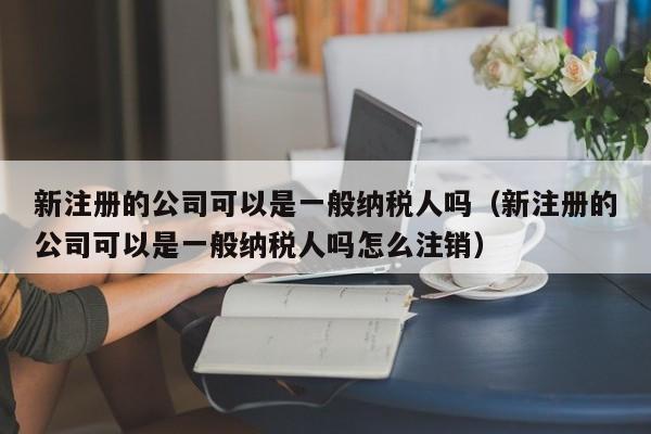 新注册的公司可以是一般纳税人吗（新注册的公司可以是一般纳税人吗怎么注销）