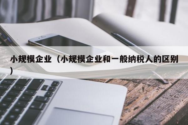 小规模企业（小规模企业和一般纳税人的区别）