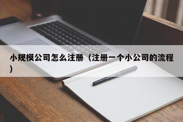 小规模公司怎么注册（注册一个小公司的流程）