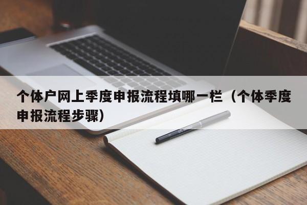 个体户网上季度申报流程填哪一栏（个体季度申报流程步骤）