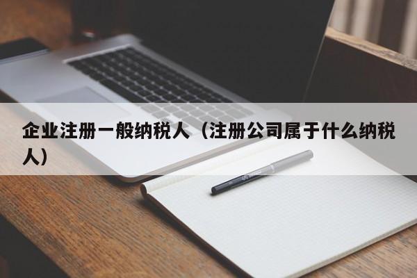 企业注册一般纳税人（注册公司属于什么纳税人）