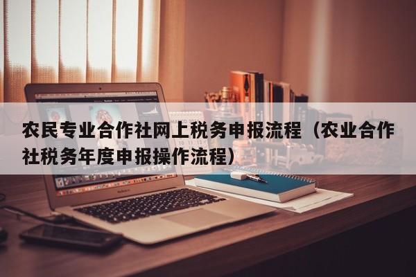 农民专业合作社网上税务申报流程（农业合作社税务年度申报操作流程）