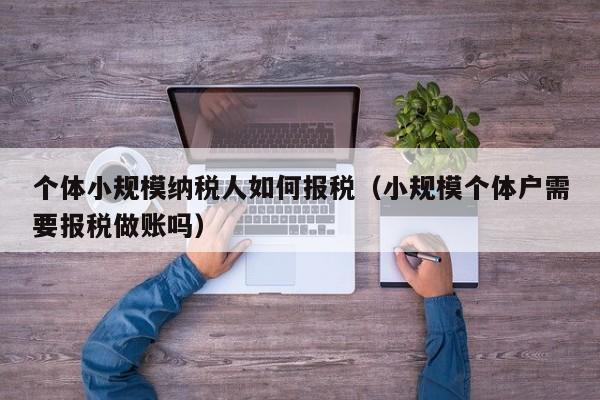 个体小规模纳税人如何报税（小规模个体户需要报税做账吗）