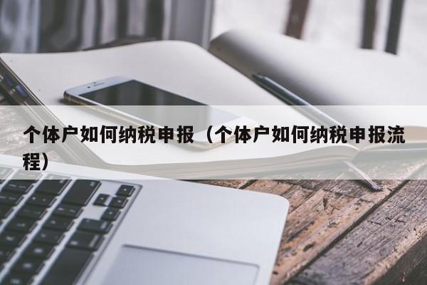 个体户如何纳税申报（个体户如何纳税申报流程）