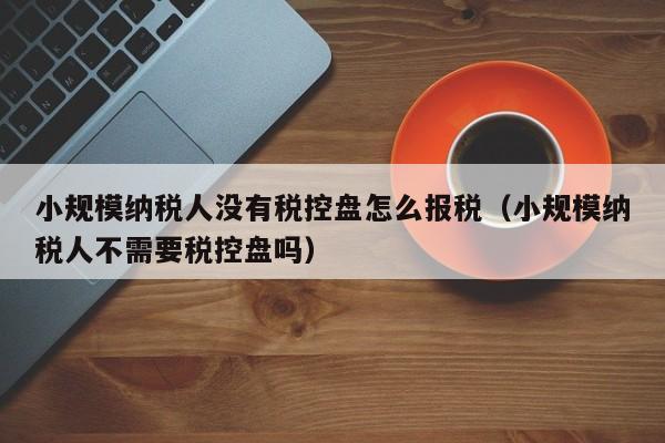 小规模纳税人没有税控盘怎么报税（小规模纳税人不需要税控盘吗）