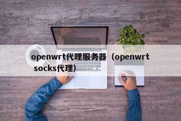 openwrt代理服务器（openwrt socks代理）