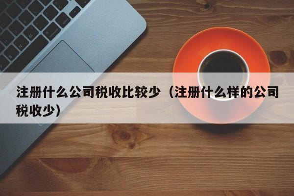 注册什么公司税收比较少（注册什么样的公司税收少）