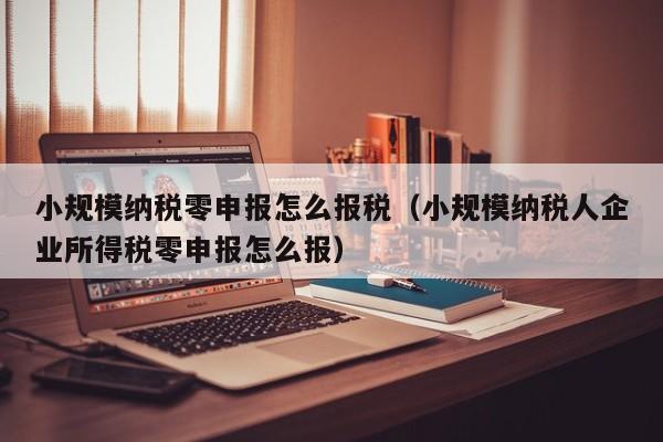 小规模纳税零申报怎么报税（小规模纳税人企业所得税零申报怎么报）