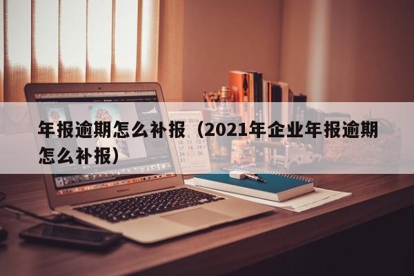 年报逾期怎么补报（2021年企业年报逾期怎么补报）