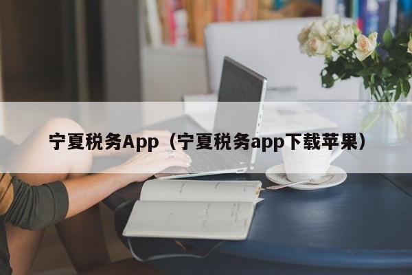 宁夏税务App（宁夏税务app下载苹果）