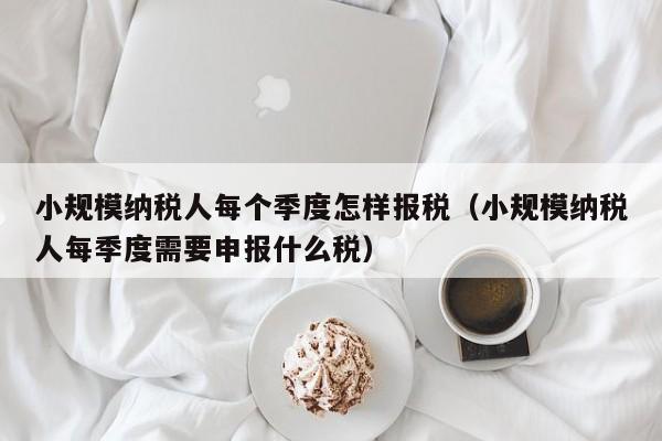 小规模纳税人每个季度怎样报税（小规模纳税人每季度需要申报什么税）