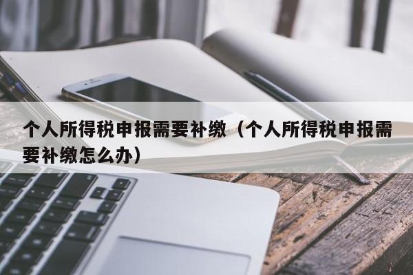 个人所得税申报需要补缴（个人所得税申报需要补缴怎么办）