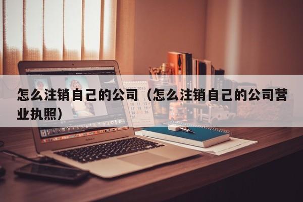 怎么注销自己的公司（怎么注销自己的公司营业执照）