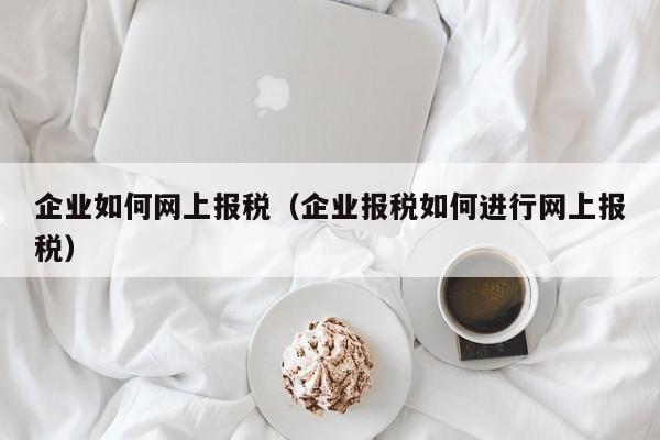 企业如何网上报税（企业报税如何进行网上报税）