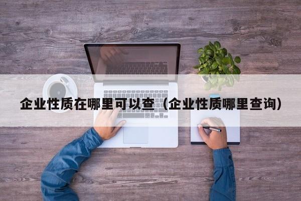 企业性质在哪里可以查（企业性质哪里查询）