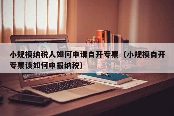 小规模纳税人如何申请自开专票（小规模自开专票该如何申报纳税）