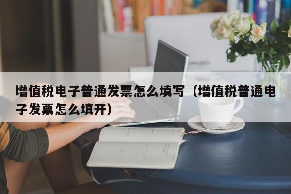 增值税电子普通发票怎么填写（增值税普通电子发票怎么填开）