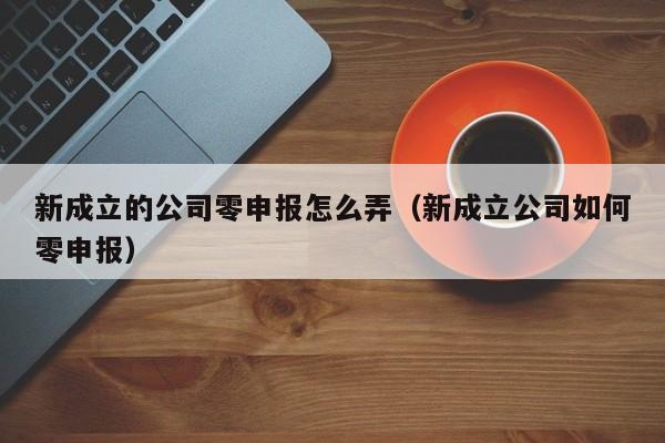 新成立的公司零申报怎么弄（新成立公司如何零申报）