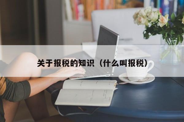 关于报税的知识（什么叫报税）