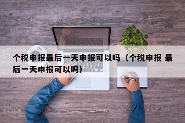 个税申报最后一天申报可以吗（个税申报 最后一天申报可以吗）