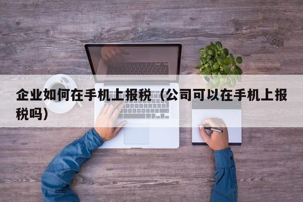 企业如何在手机上报税（公司可以在手机上报税吗）