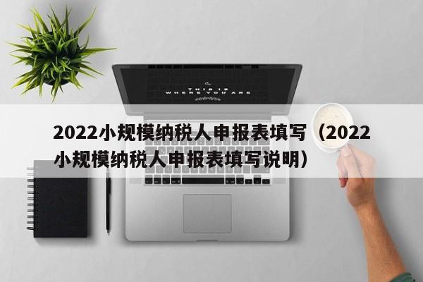 2022小规模纳税人申报表填写（2022小规模纳税人申报表填写说明）