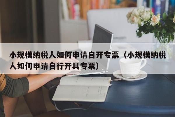 小规模纳税人如何申请自开专票（小规模纳税人如何申请自行开具专票）