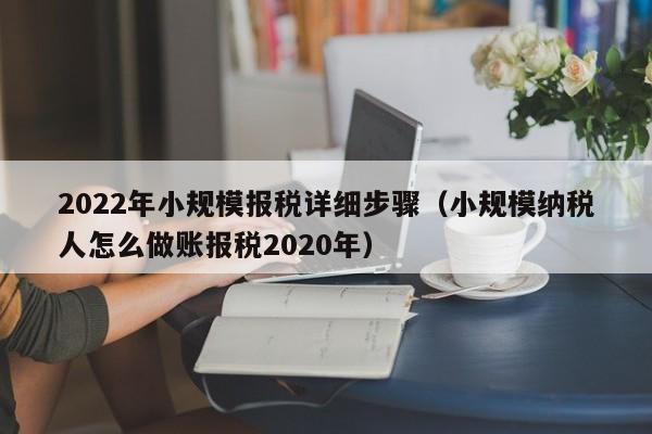 2022年小规模报税详细步骤（小规模纳税人怎么做账报税2020年）