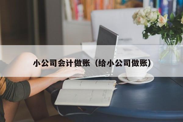 小公司会计做账（给小公司做账）