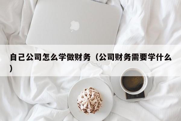 自己公司怎么学做财务（公司财务需要学什么）