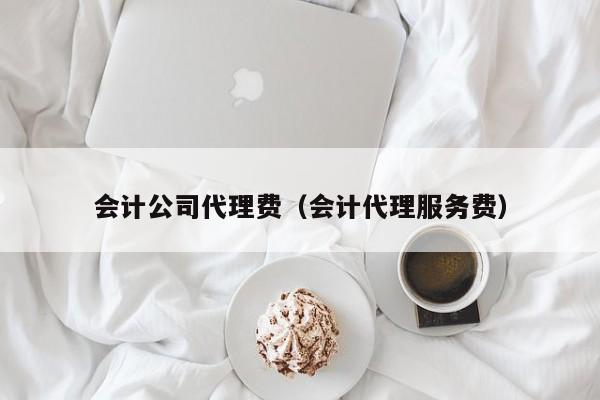 会计公司代理费（会计代理服务费）