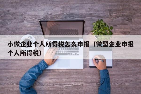 小微企业个人所得税怎么申报（微型企业申报个人所得税）