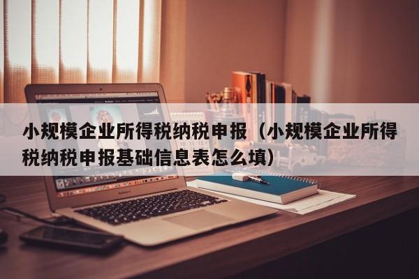 小规模企业所得税纳税申报（小规模企业所得税纳税申报基础信息表怎么填）