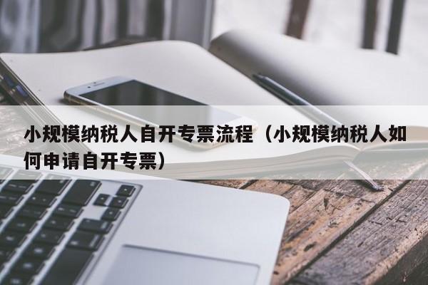 小规模纳税人自开专票流程（小规模纳税人如何申请自开专票）