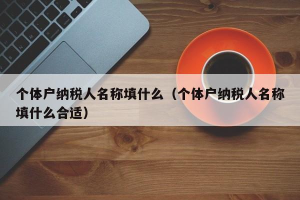 个体户纳税人名称填什么（个体户纳税人名称填什么合适）