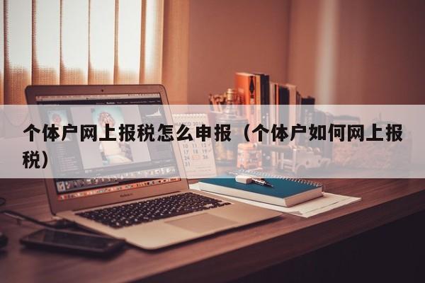 个体户网上报税怎么申报（个体户如何网上报税）