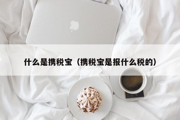 什么是携税宝（携税宝是报什么税的）