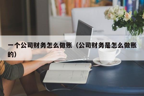 一个公司财务怎么做账（公司财务是怎么做账的）