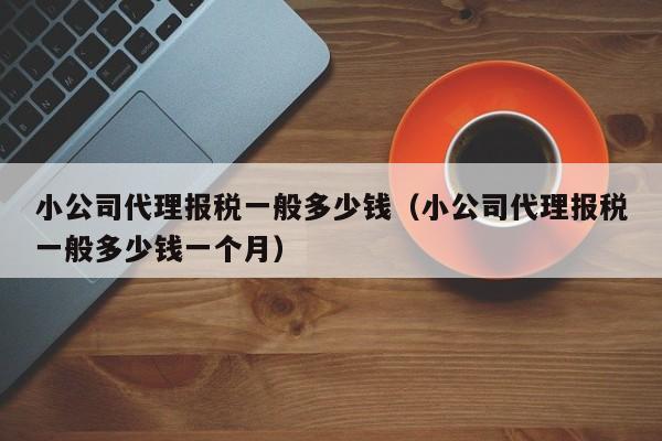 小公司代理报税一般多少钱（小公司代理报税一般多少钱一个月）