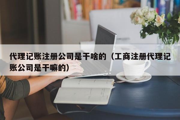 代理记账注册公司是干啥的（工商注册代理记账公司是干嘛的）