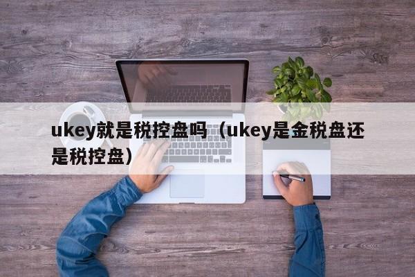 ukey就是税控盘吗（ukey是金税盘还是税控盘）