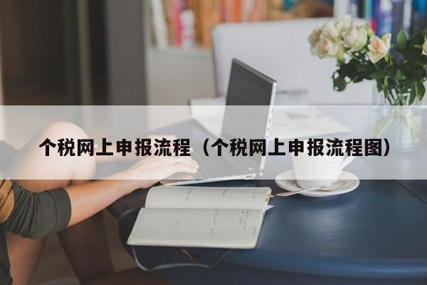 个税网上申报流程（个税网上申报流程图）