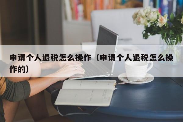 申请个人退税怎么操作（申请个人退税怎么操作的）