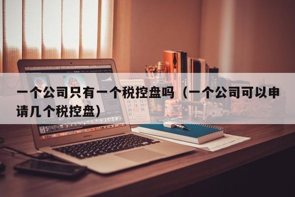 一个公司只有一个税控盘吗（一个公司可以申请几个税控盘）