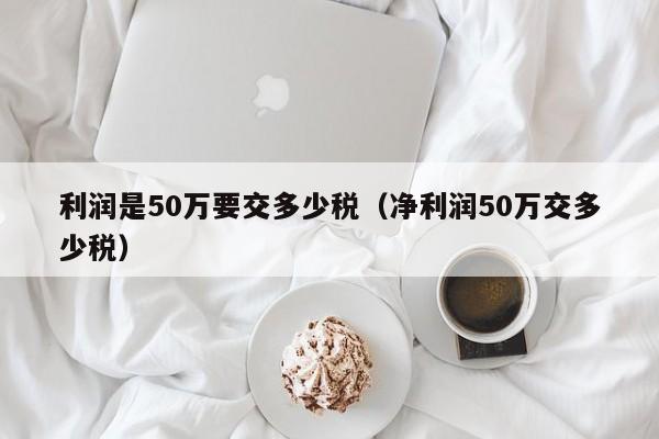 利润是50万要交多少税（净利润50万交多少税）