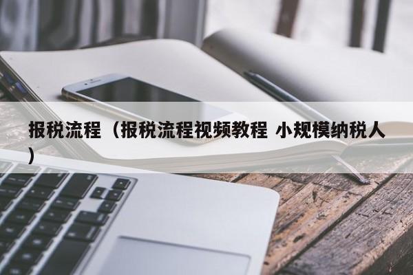 报税流程（报税流程视频教程 小规模纳税人）