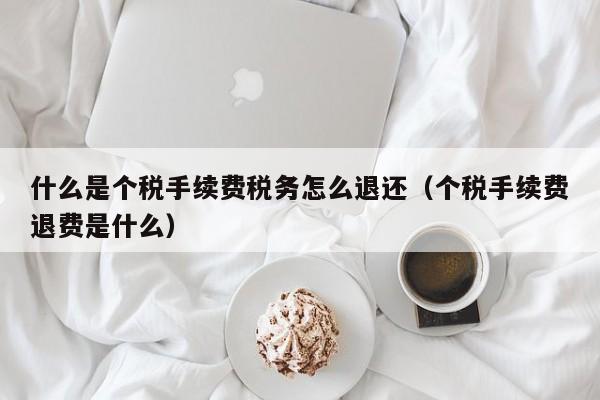 什么是个税手续费税务怎么退还（个税手续费退费是什么）