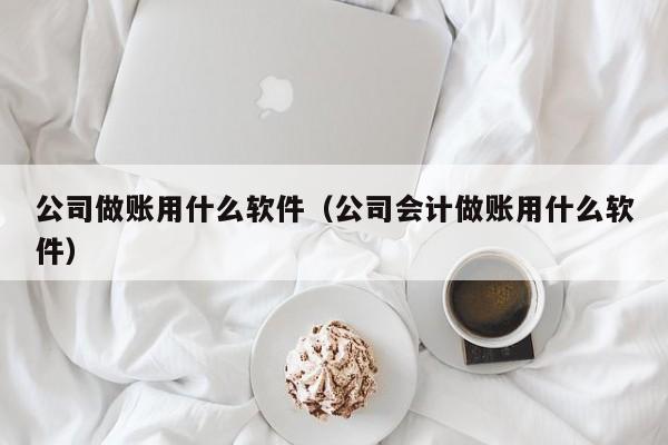 公司做账用什么软件（公司会计做账用什么软件）