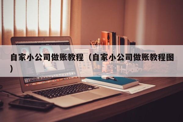 自家小公司做账教程（自家小公司做账教程图）